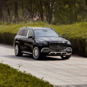 Mercedes-maybach GLS 600
