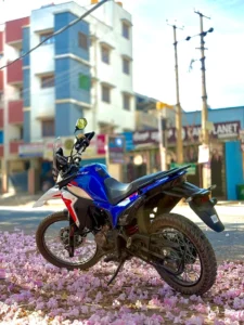 Hero Xpulse 210
