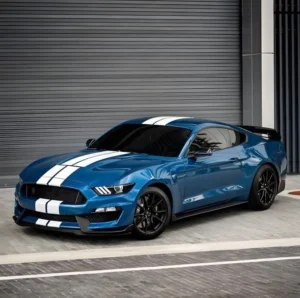 Ford Mustang Shelby Gt500 